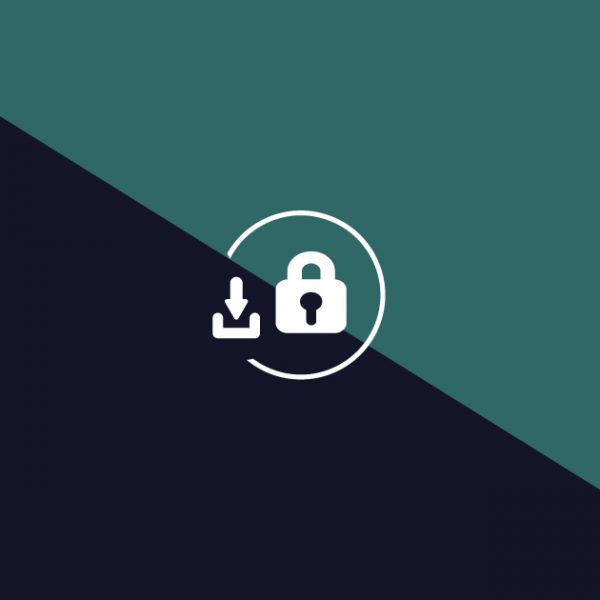 seguridad